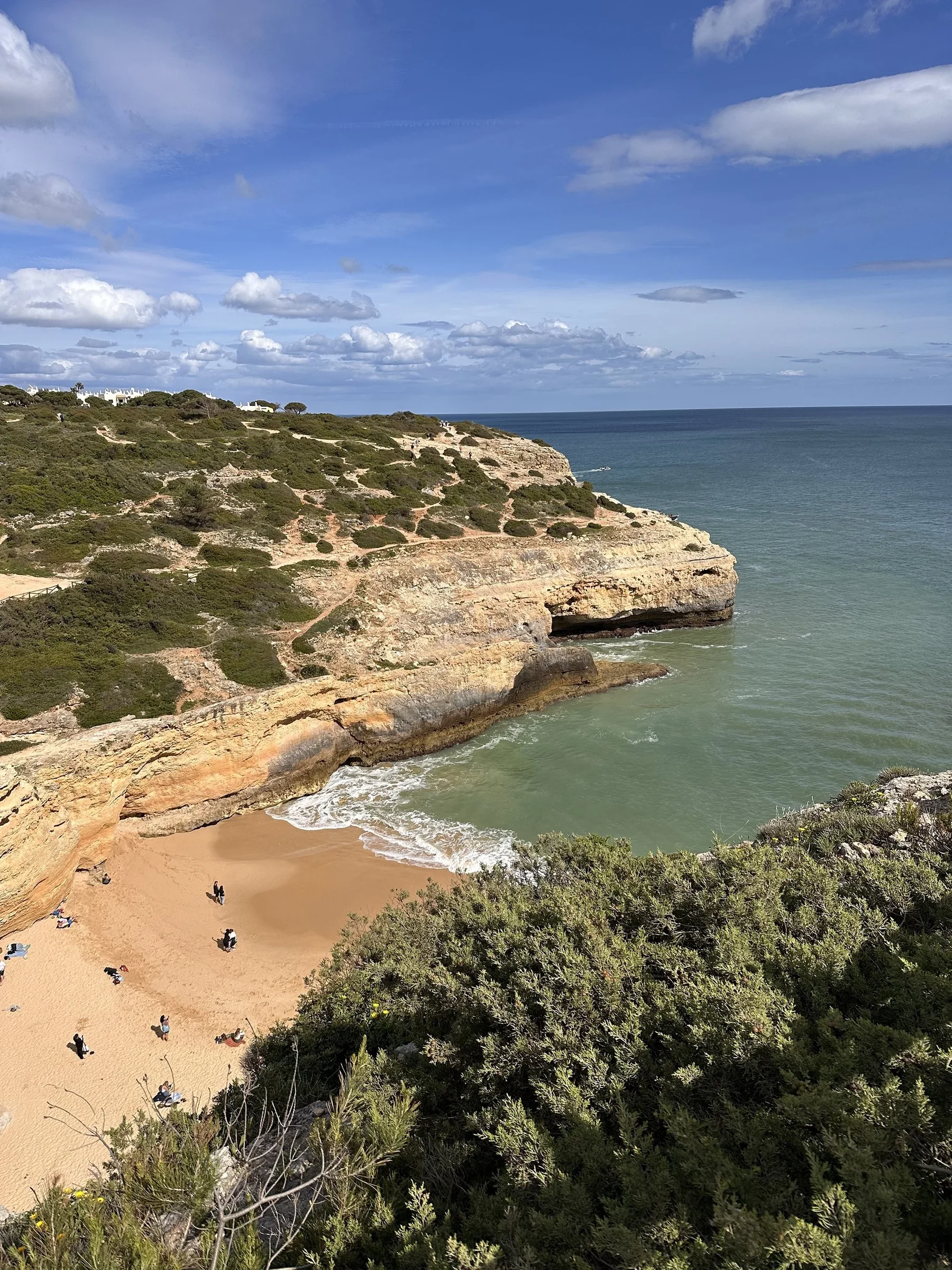 Sandy beach tucked below golden cliffs and green scrub, with calm blue water stretching to the horizon on the Algarve coast