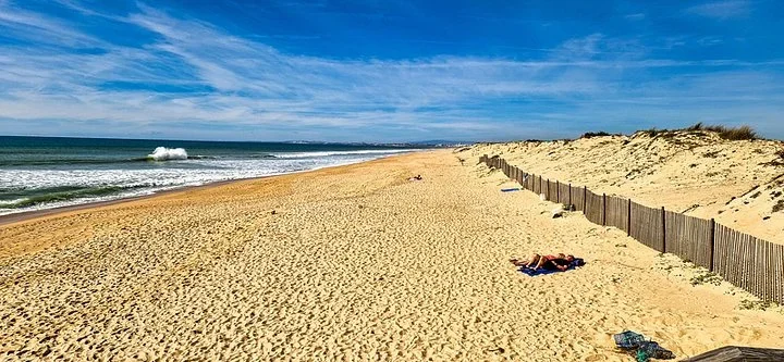Wide golden beach with a wooden dune fence and waves rolling in under a blue sky
