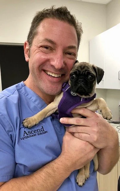 Dr. Garrett Levin in Ascend Veterinary Surgery scrubs smiling and holding a pug puppy