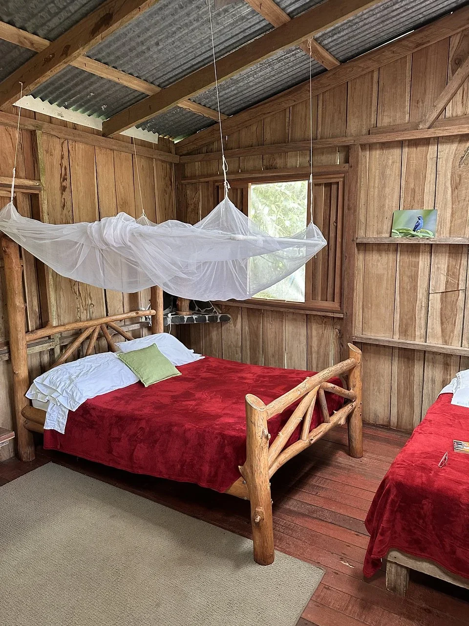 Log double bed with a red blanket and green pillow under a mosquito net beside a second bed in a wooden cabin