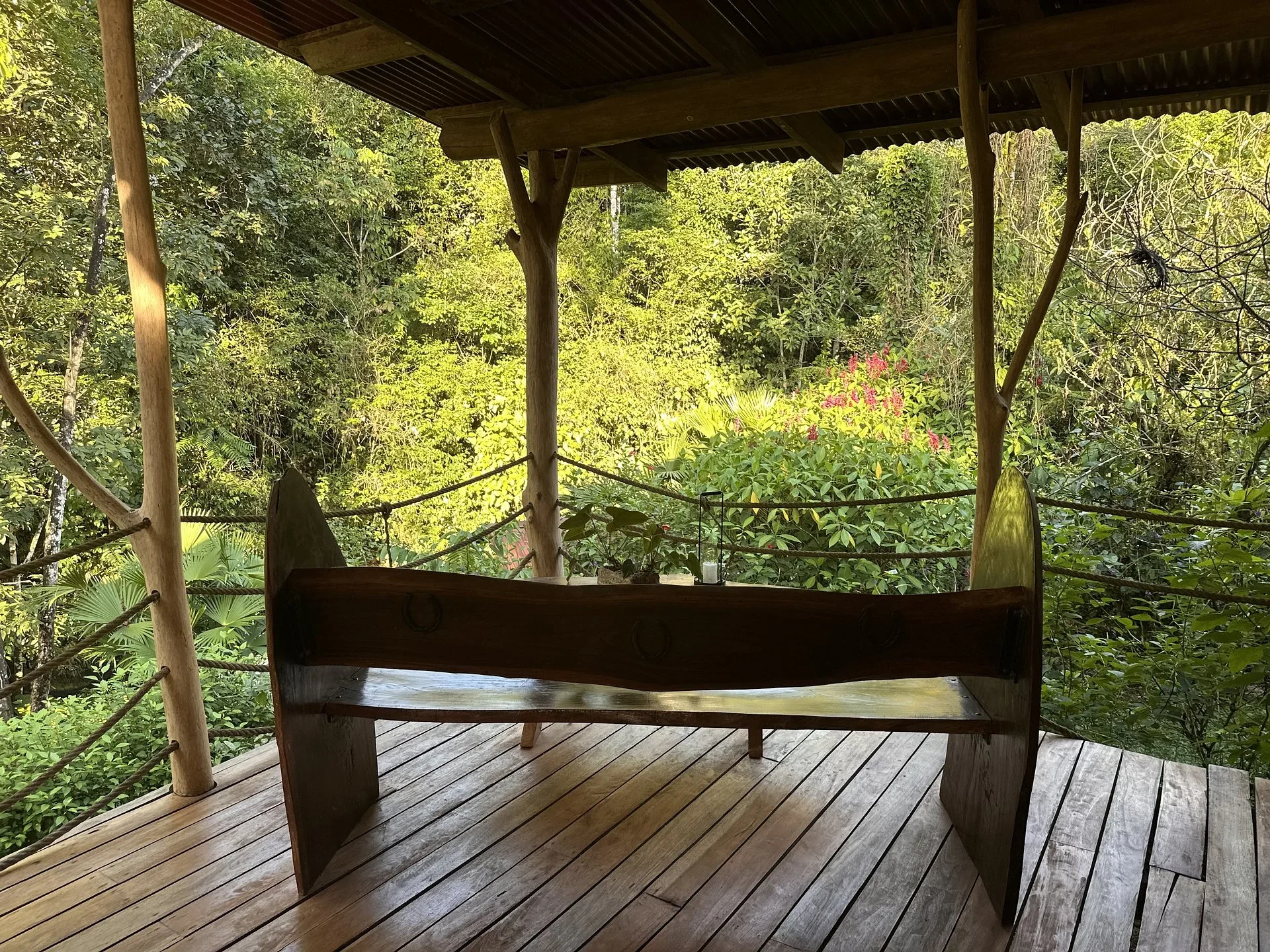 Carved wooden bench on a covered deck looking out over sunlit rainforest and red flowers
