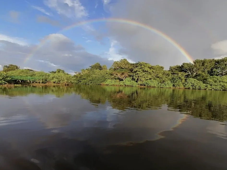 Rainbow arching over a calm private lake lined with rainforest at the Costa Rica retreat lodge