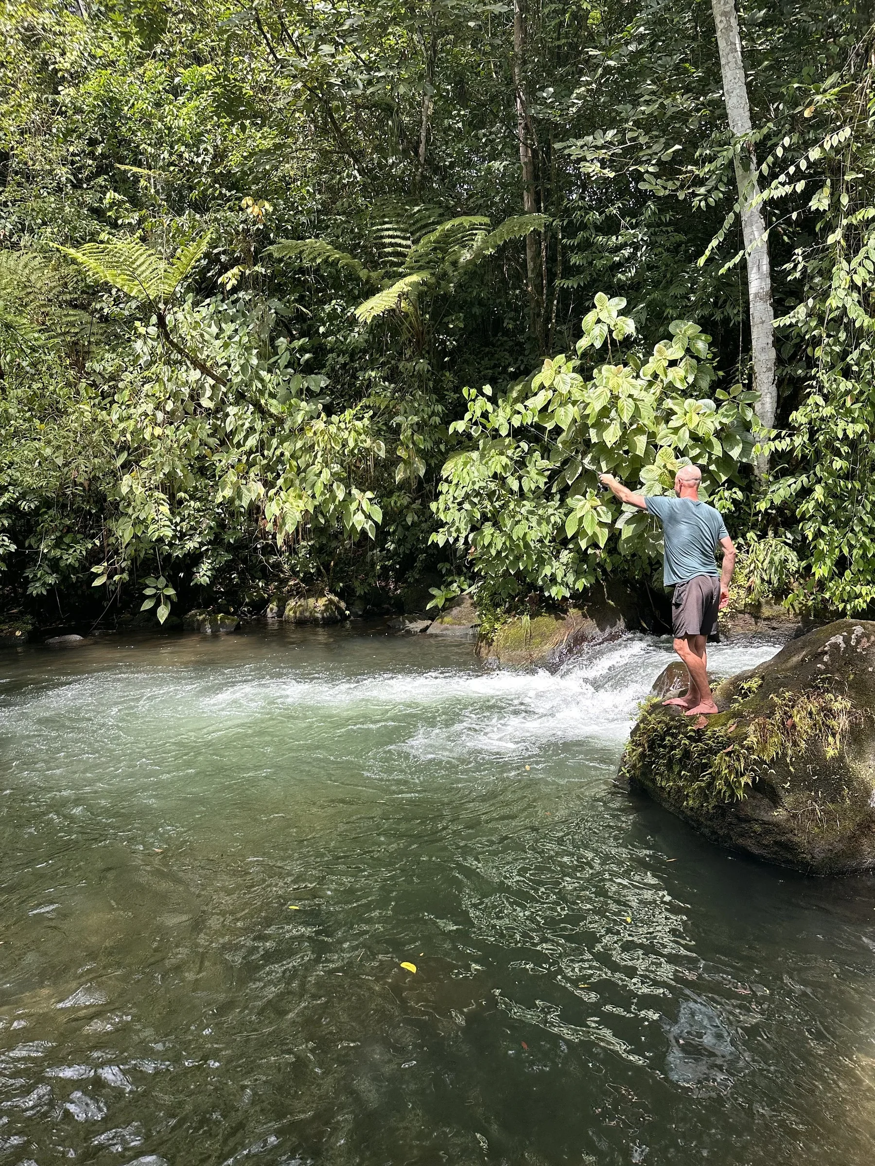 Waterfall pouring into a turquoise blue pool surrounded by rainforest