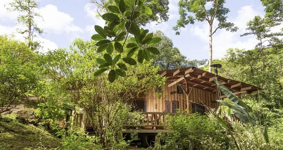 Wooden cabin with a covered porch tucked into lush rainforest at the Costa Rica retreat lodge
