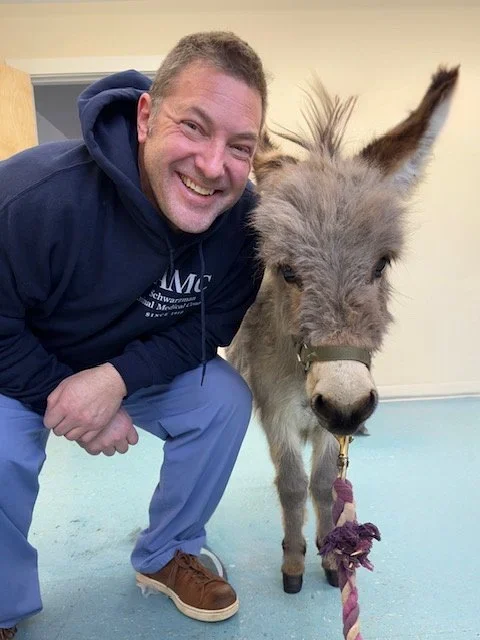 Veterinary surgeon Dr. Garrett Levin kneeling beside a miniature donkey, presenter for the Costa Rica veterinary CE retreat
