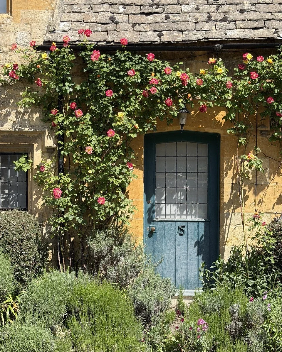 Blue cottage door framed by pink and yellow climbing roses on a golden stone wall
