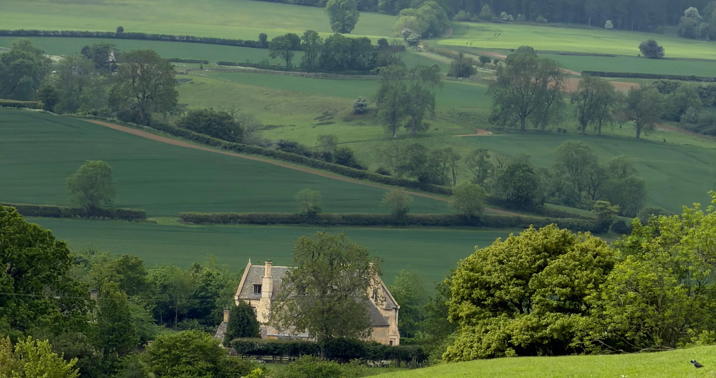 Sheep and lambs resting on a green hillside above a stone manor house and patchwork fields