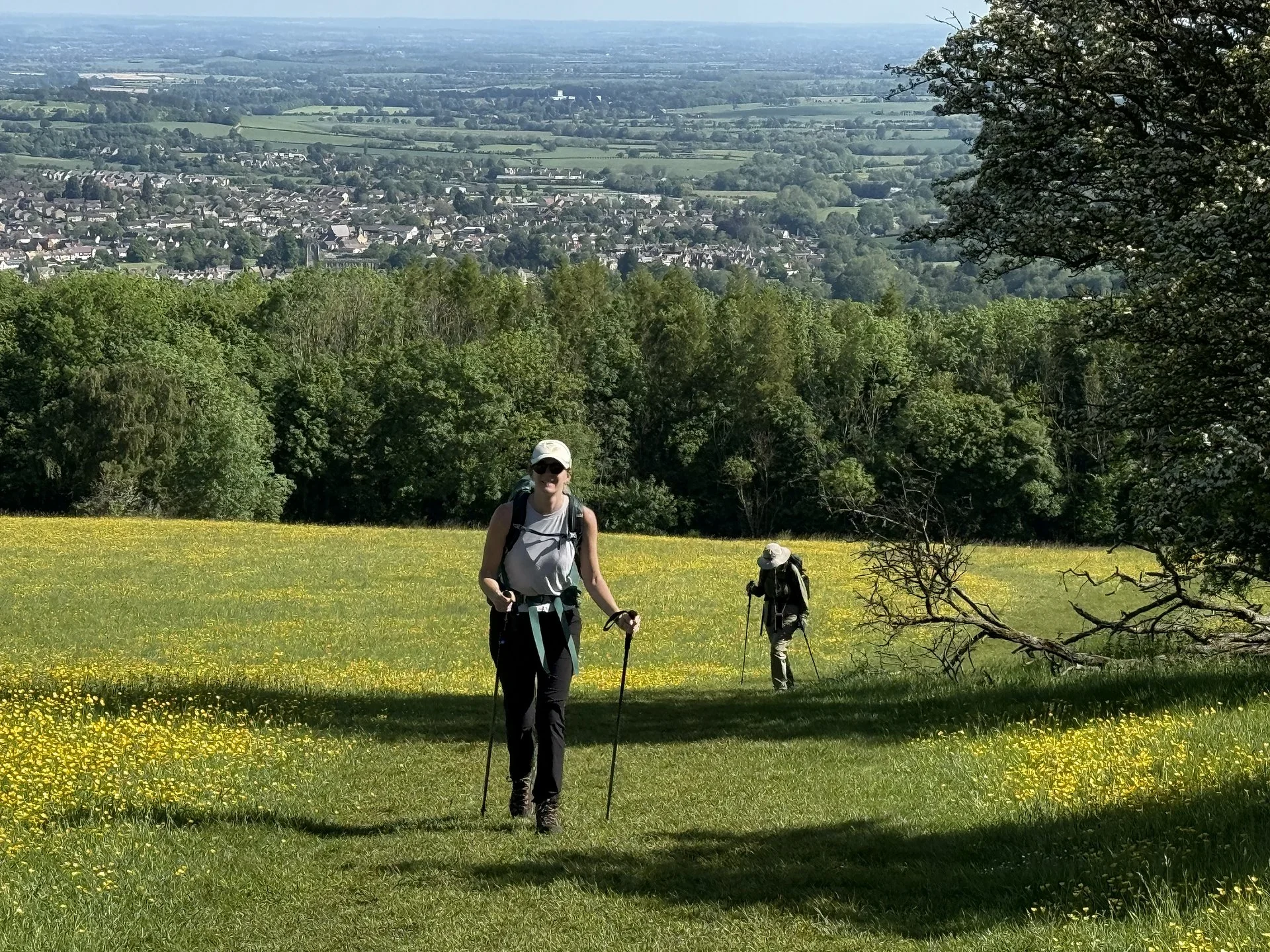 Smiling walker with trekking poles climbing a buttercup meadow above a wide valley view