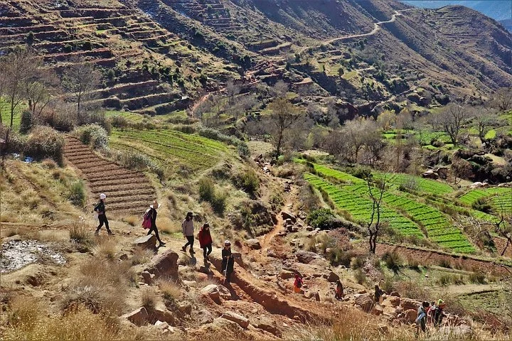 Small group walking a dirt trail past terraced green fields in the Atlas Mountains