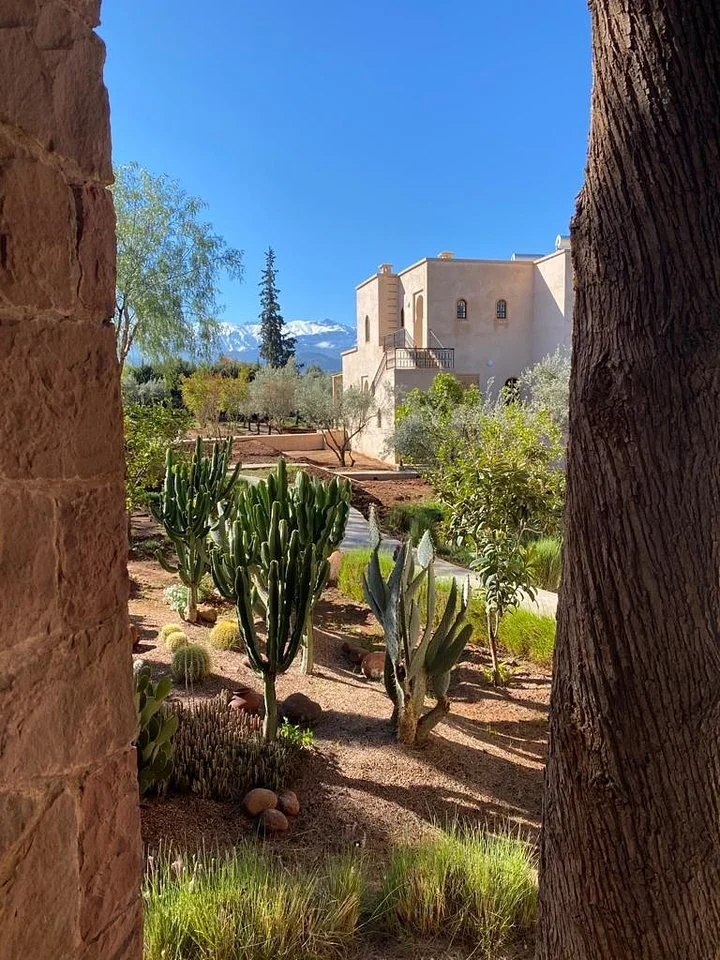 Cactus garden and a guesthouse at the retreat, with snow-capped Atlas Mountains behind
