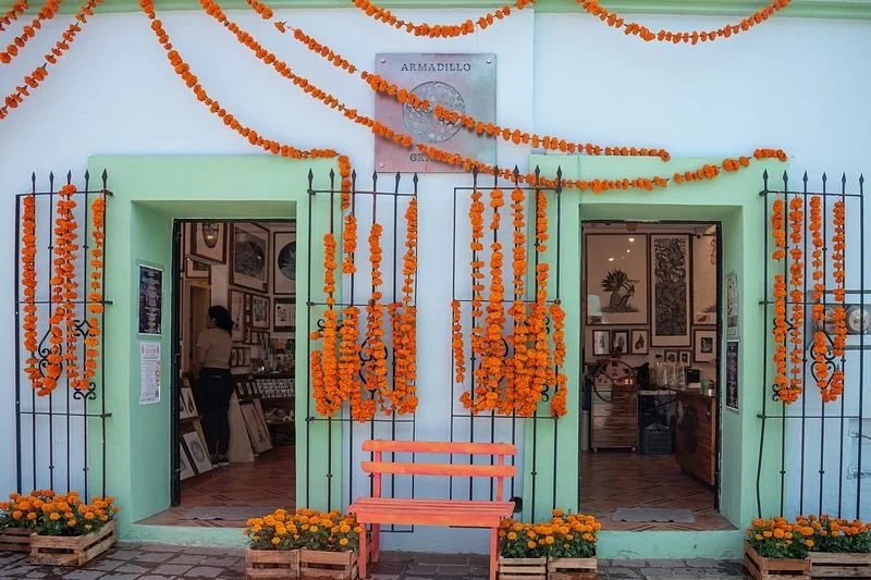 Strands of marigolds hanging over the iron window grilles and doorways of a white and mint green gallery, with an orange bench out front