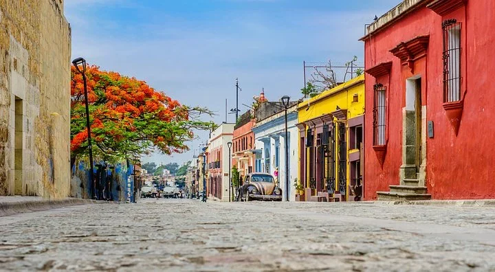 Low view of a cobblestone street in Oaxaca with a red flame tree, colorful colonial houses, and a vintage car