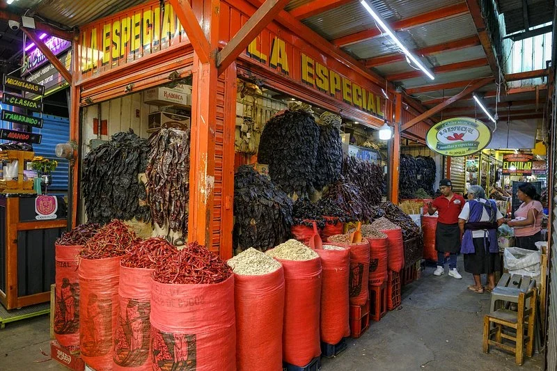 Market shop in Oaxaca with hanging dried chiles and tall red sacks of chiles and seeds