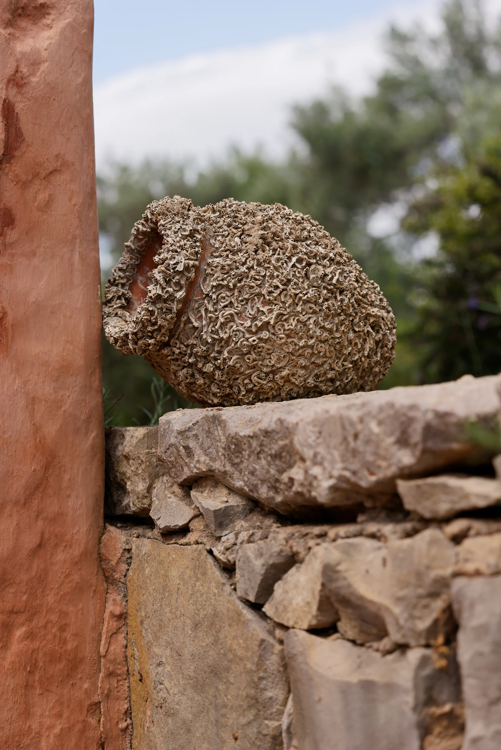 Old clay amphora covered in barnacles resting on a stone wall beside a terracotta column